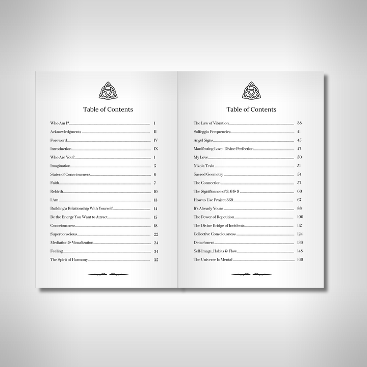 369 Journal - The Key to the Universe